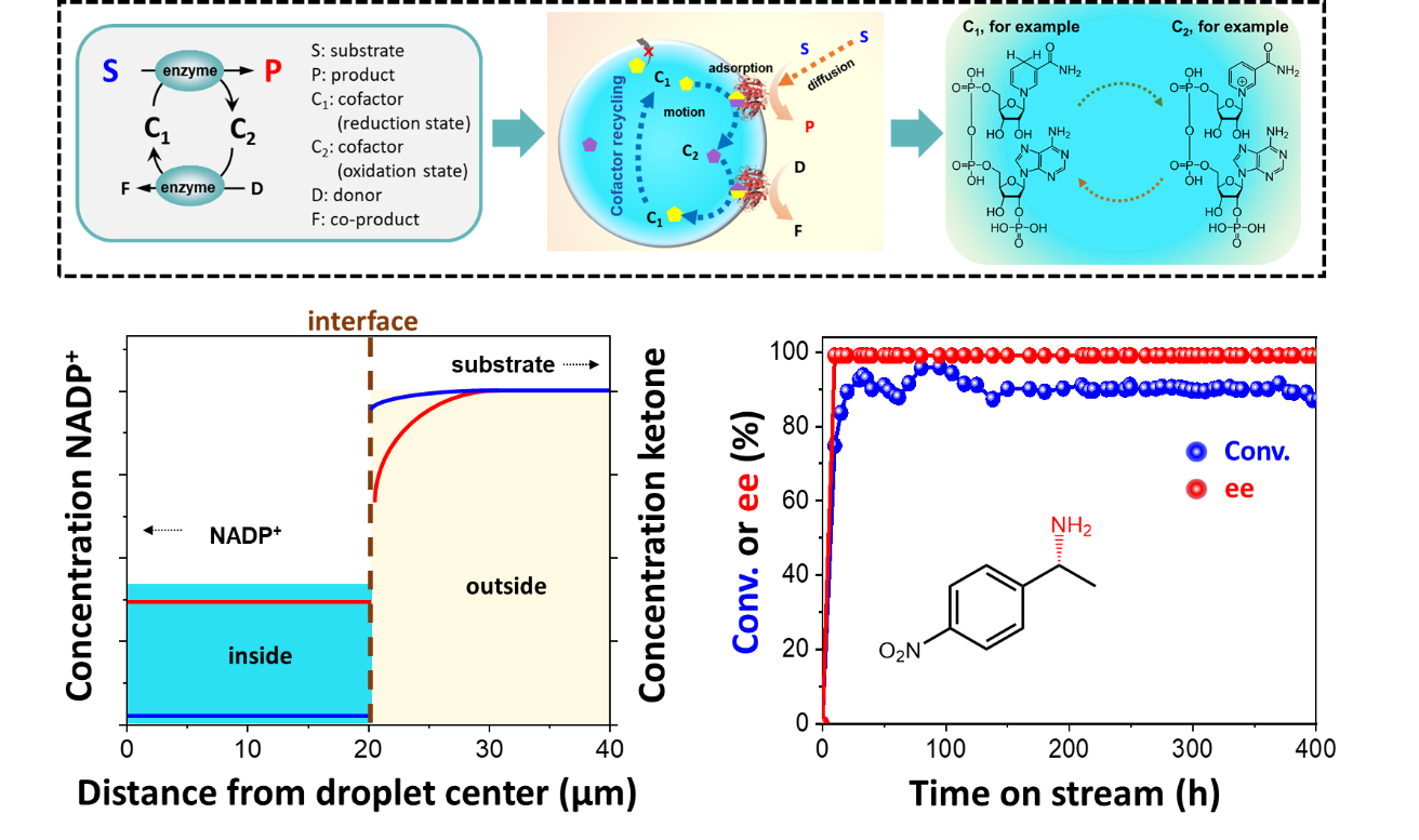 2a71958ecc584a91a1d2843c265b979f.png 2a71958ecc584a91a1d2843c265b979f.png