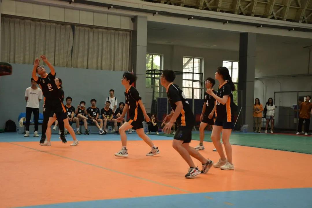 966ab8d8b5154493a8dff908b6e544dc.jpg
