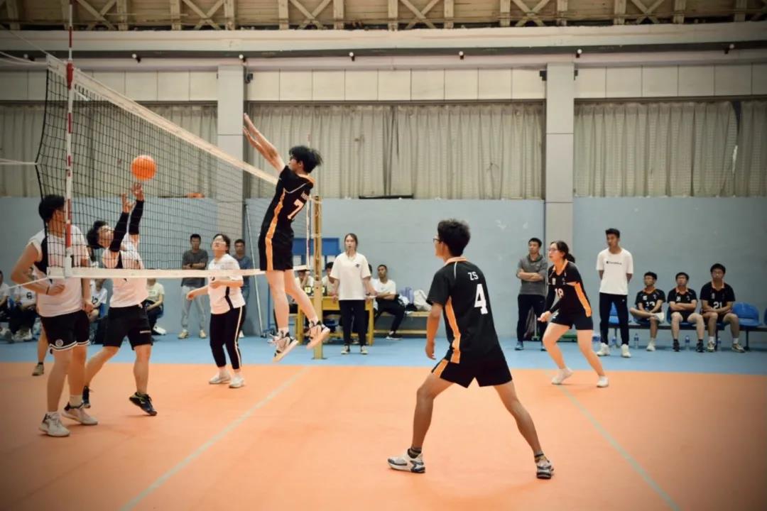 92118ecbecaf490986ebcc76b8653d04.jpg